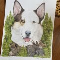 Klant imago Aquarelblok Gelijmd Warmgeperst Bogen 300g - A3