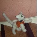 Klant imago Kattenogen � 10 mm - groen 4 st.
