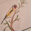 Klant imago Aquarelpotlood Albrecht Dürer - 278 Chroomoxidegroen