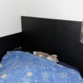 Klant imago Imitatie nappaleer Zwart - 140 cm