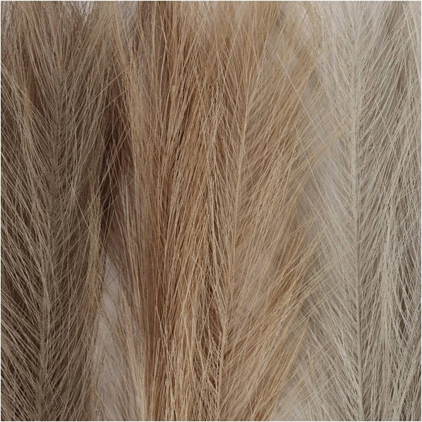 Pampasgras - ivoor - lichtbruin - lichtgrijs - 3 st Pampasgras - ivoor - lichtbruin - lichtgrijs - 3 st