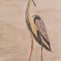 Klant imago Aquarelpotlood Albrecht Dürer - 102 Crème