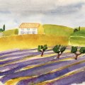 Klant imago Aquarelverf W&N Cotman Half kopje - 599 Sapgroen