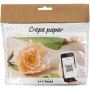 Mini DIY Kit Crpepapier - Pioenroos