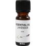 Geurolie - Lavendel - 10 ml