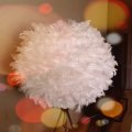 Klant imago Decoratieve veer 50-100 mm - vanille 10 g ~ 110-pack