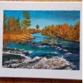 Klant imago Doek 10-pack 24x30 cm