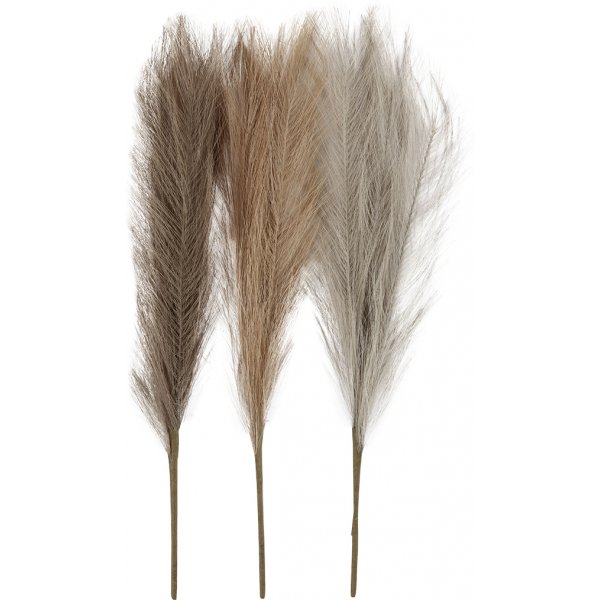 Pampasgras - ivoor - lichtbruin - lichtgrijs - 3 st Pampasgras - ivoor - lichtbruin - lichtgrijs - 3 st