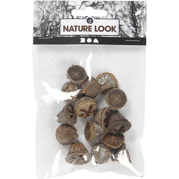 Eucalyptuskegels - 25 g Eucalyptuskegels - 25 g
