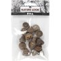 Eucalyptuskegels - 25 g