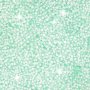 Foam Clay® - lichtgroen - glitter - 35 gr