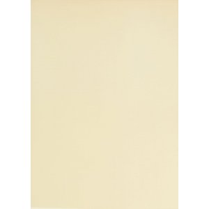 Perkamentpapier - naturel - A4 - 10 vellen Perkamentpapier - naturel - A4 - 10 vellen
