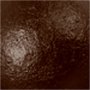 Schoolverf - Acryl - bruin - glanzend - 500 ml
