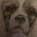 Klant imago Copic Ciao 5+1 set - Grijstinten